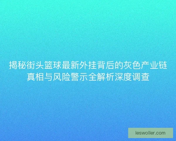 揭秘街头篮球最新外挂背后的灰色产业链真相与风险警示全解析深度调查